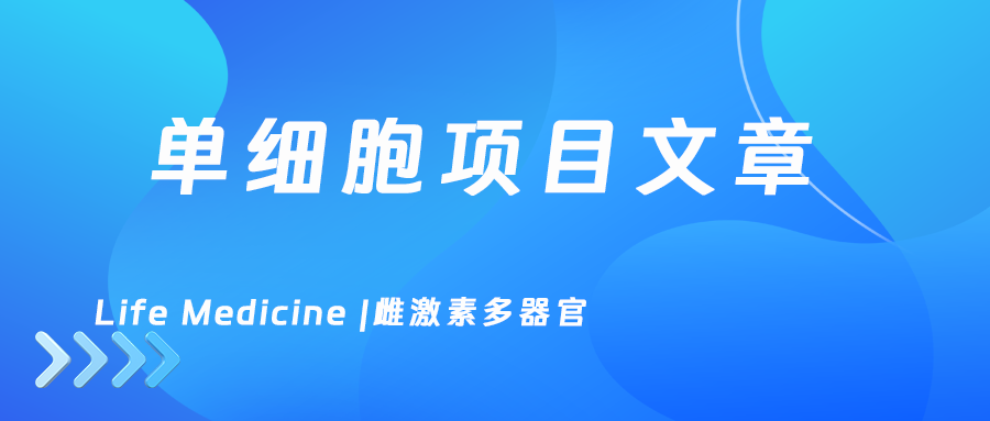 Monkey multi-organ cell atlas exposed to estrogen